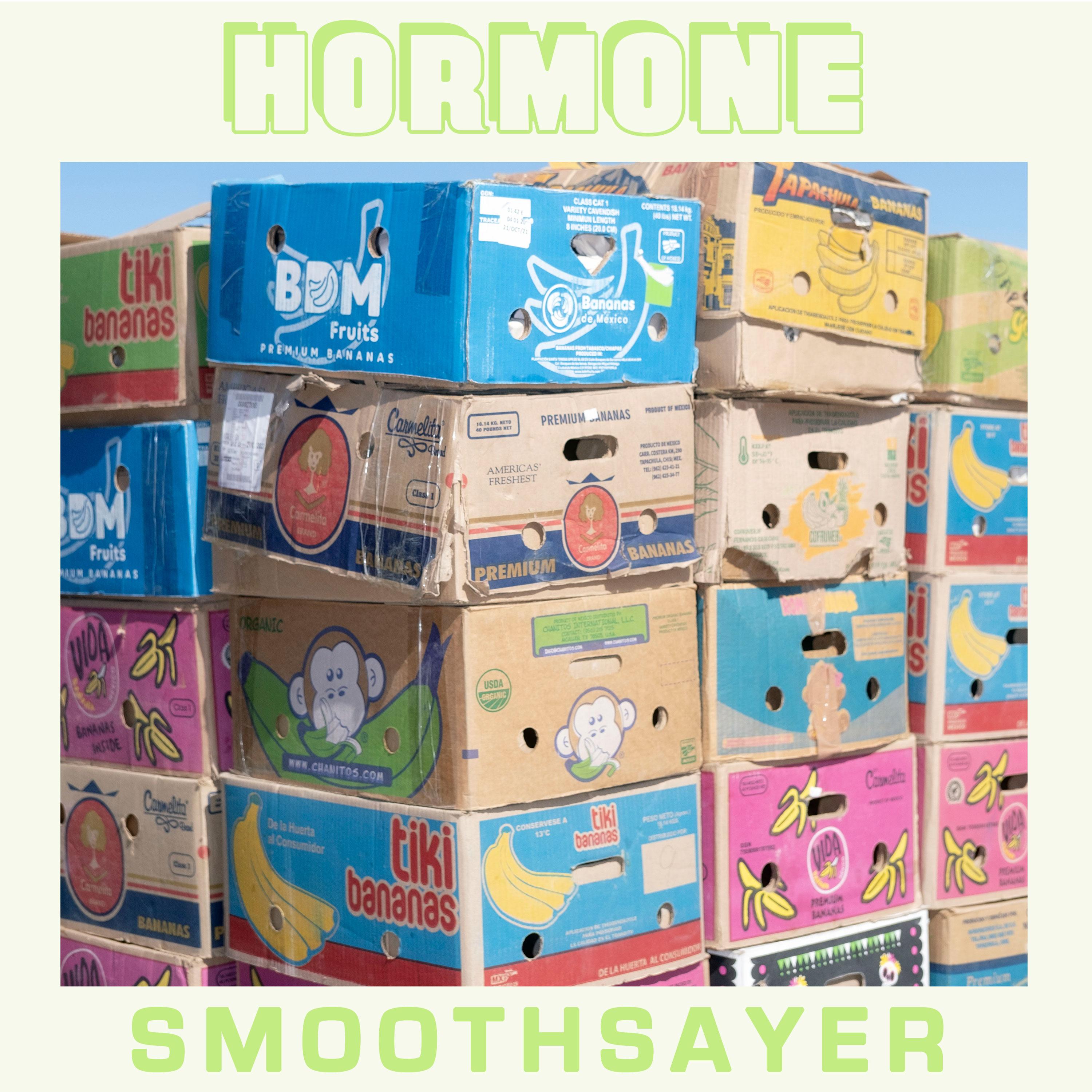 Smoothsayer EP - Hormone