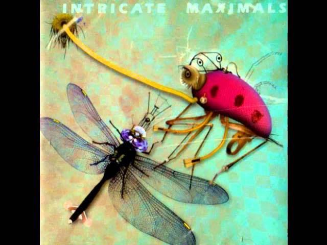 Intricate Maximals - Marion