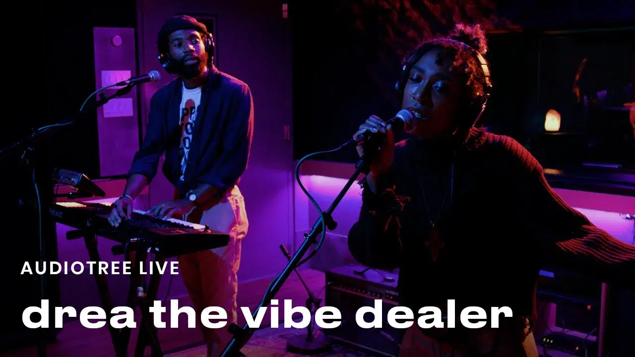 Maiden Muva Crone (Lo-Fi Punk Tape) - drea the vibe dealer