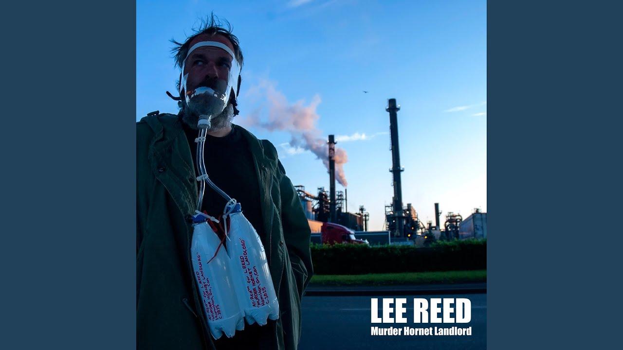 Murder Hornet Landlord - Lee Reed
