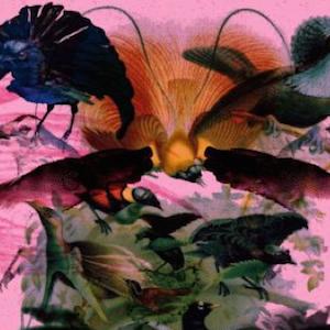Rojus (Designed to Dance) 2x12" Running Back RB061 - Wahness