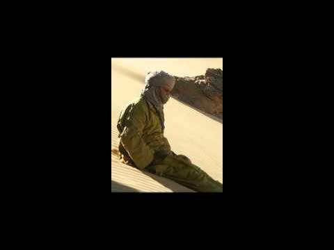 Guitars From Agadez: Music of Niger - Group Inerane