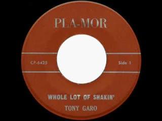 Whole Lot Of Shakin' / Jezebel - Tony Garo