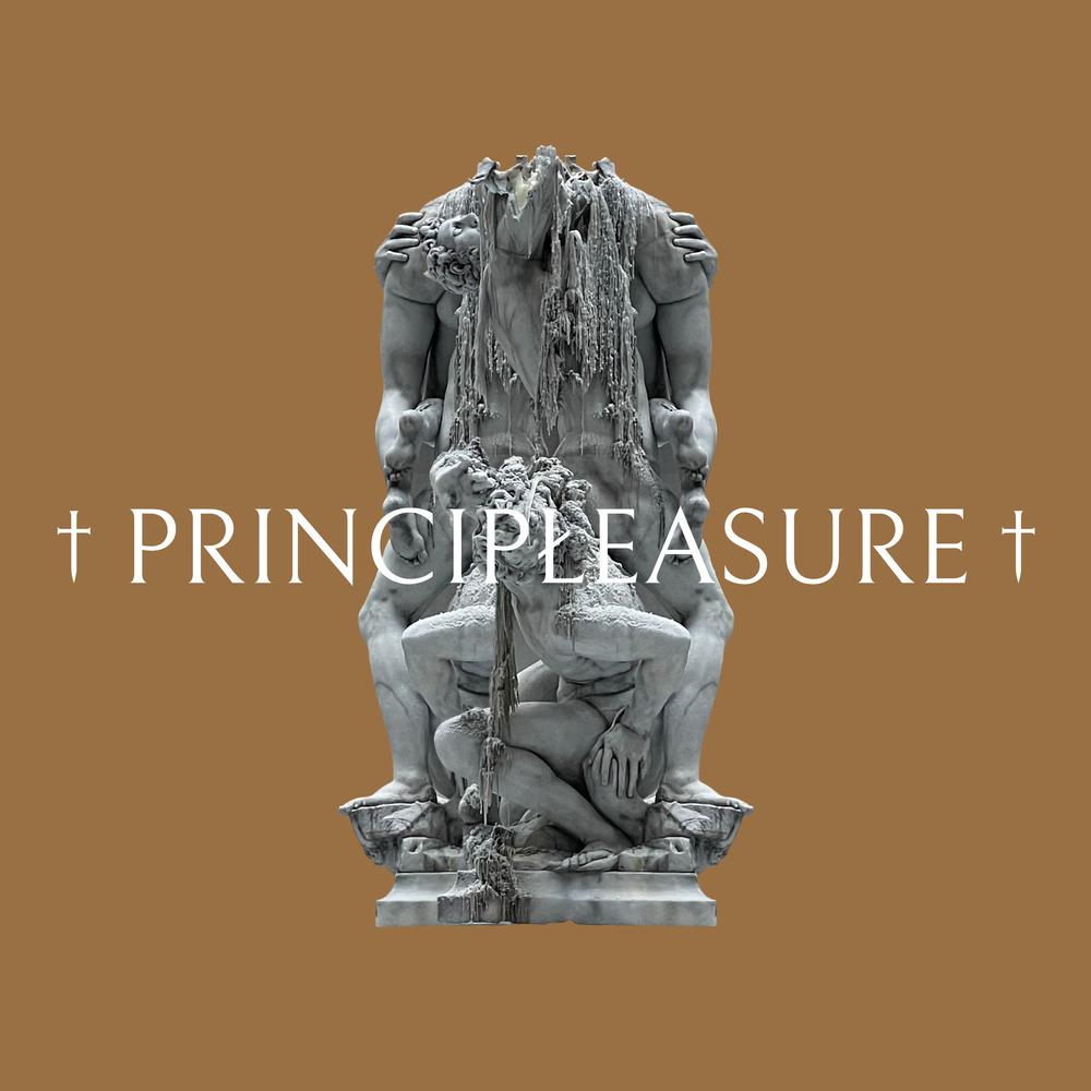 Principleasure 'II' LP Sampler [Principleasure Recordings] - Principleasure