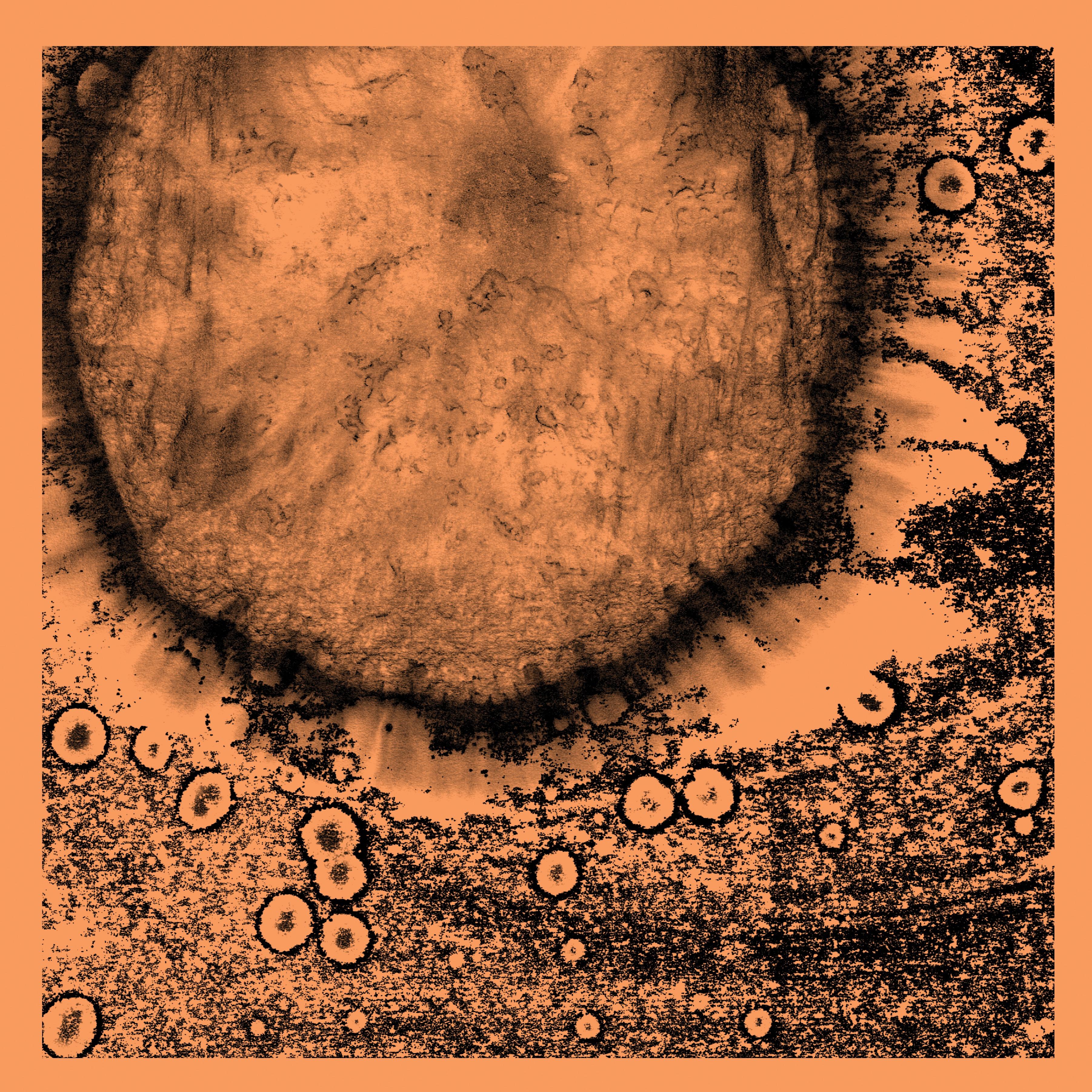 Several Circles - Richard Scott