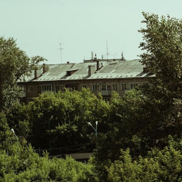 No Time to Hurry - Foresteppe