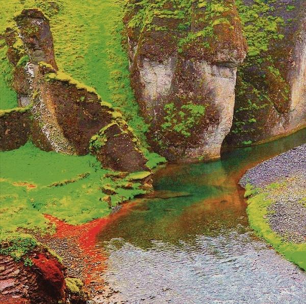 Rainforest - Clams Casino