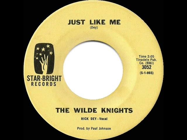 Just Like Me - The Wilde Knights