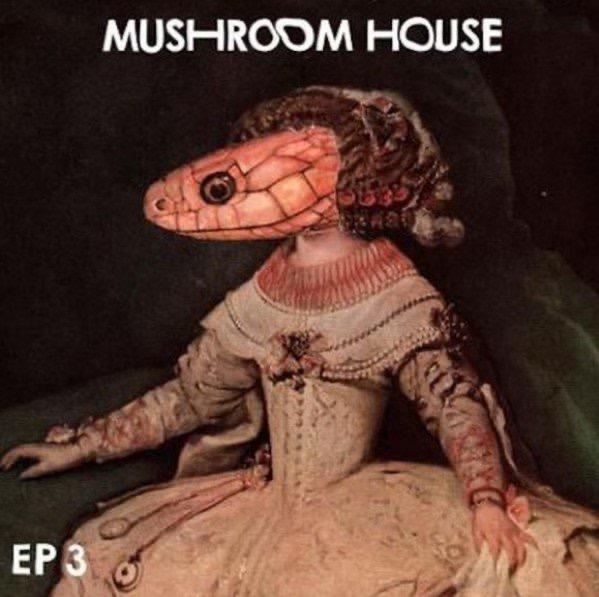 Mushroom House EP 3 - Kiwi