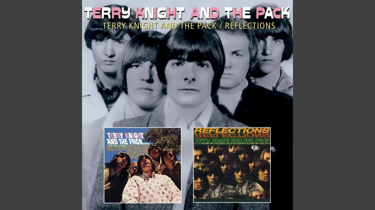 Terry Knight And The Pack/Reflections - Terry Knight