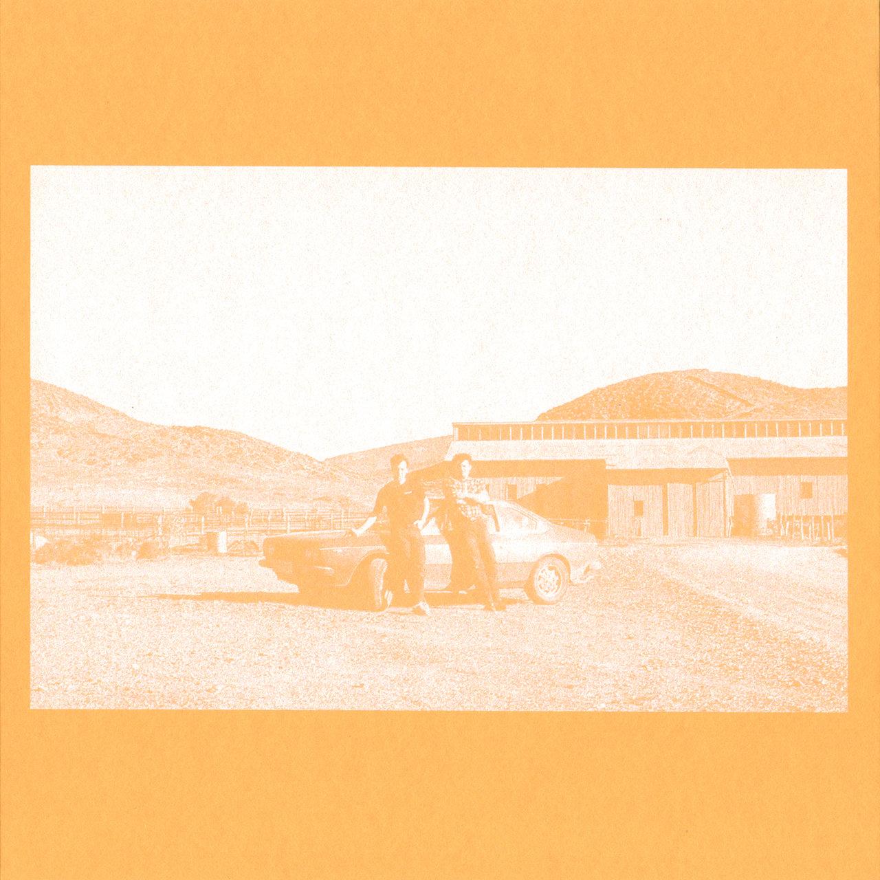 (Can I) Bridge The Gap/Entropy - The Frenzied Bricks