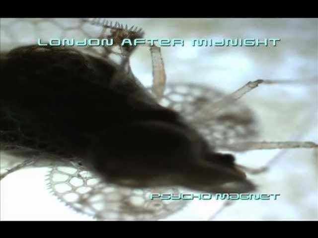 Psycho Magnet - London After Midnight, Sean Brennan
