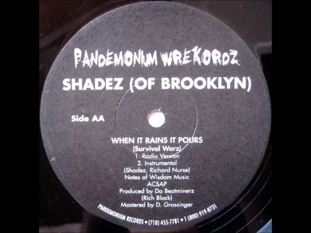 Change / When It Rains It Pours (Survival Warz) - Shadez Of Brooklyn