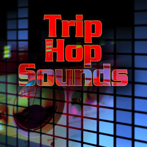 Trip Hop Sounds - Knowtoryus