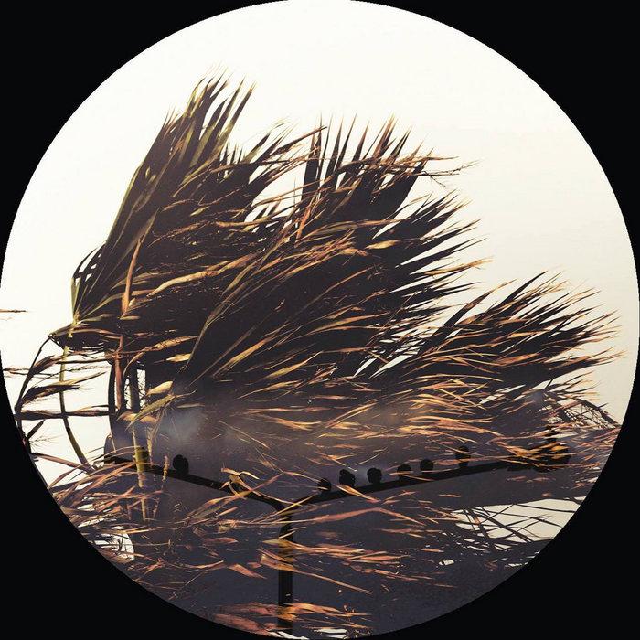 BBR13 - Breeze EP - Tominori Hosoya