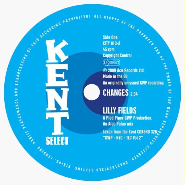 Changes / We Can Do It - The Shaladons