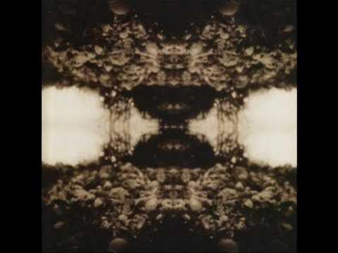  - Tear Gas & Plateglass