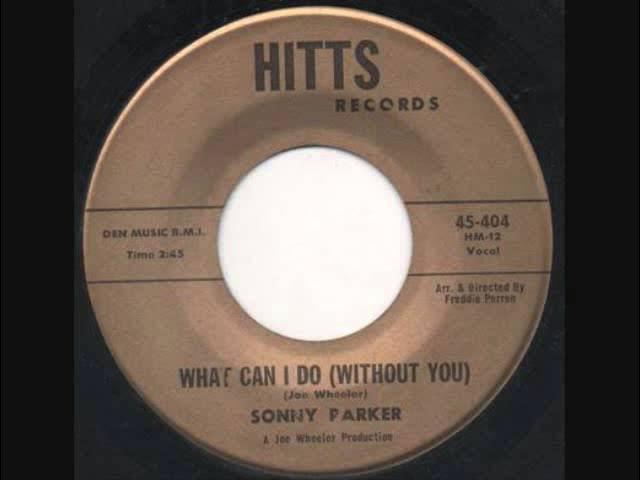 What Can I Do (Without You) - Sonny Parker