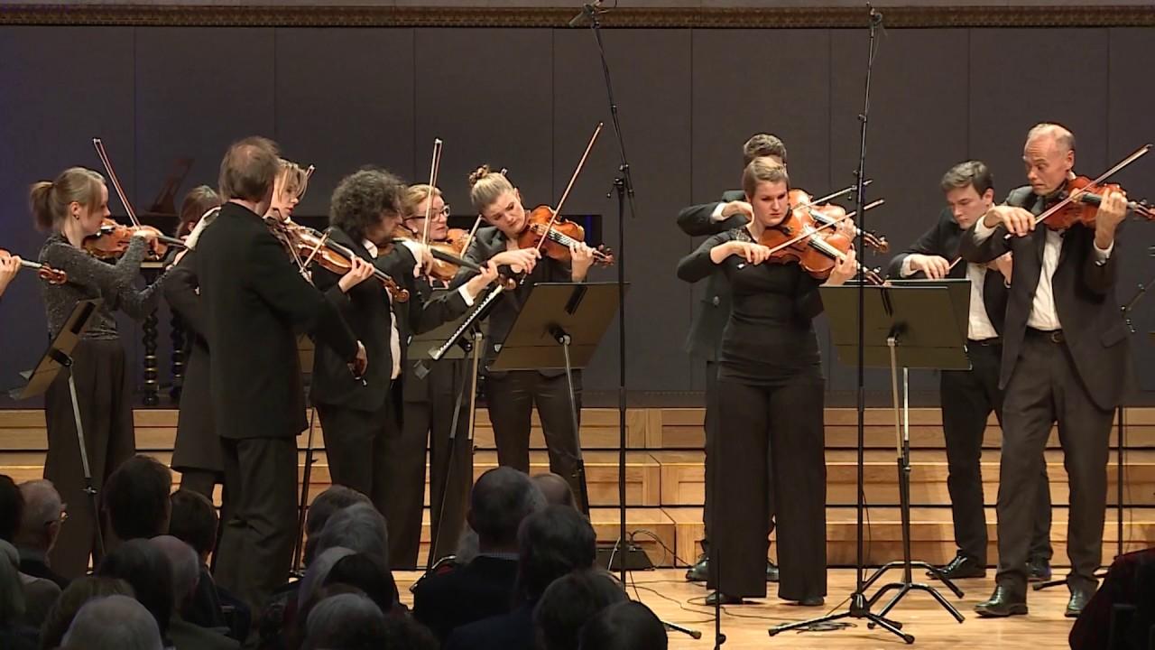 String Serenades - Antonín Dvořák