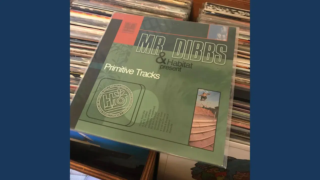 Random Vol. 3 / Sad Clown Bad Dub  7 - Mr. Dibbs
