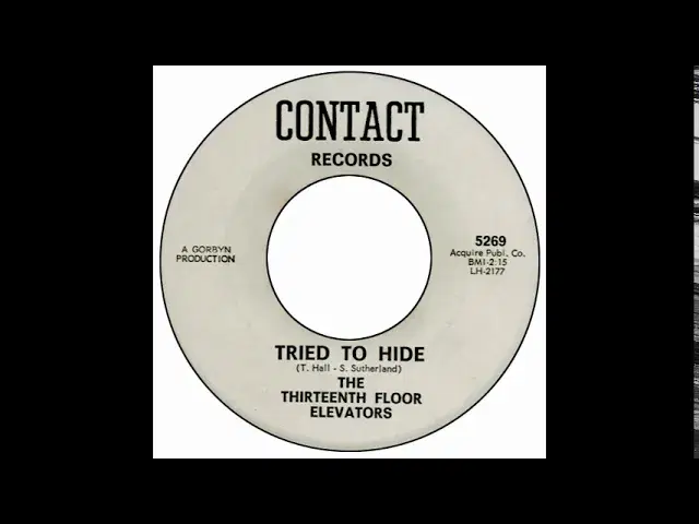  - The 13th Floor Elevators