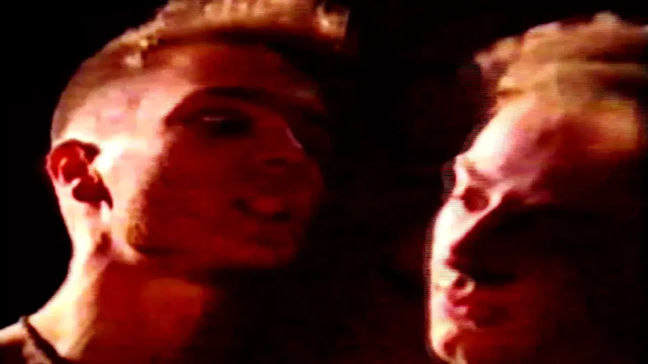 The Best Of ... Rarities - Cat Rapes Dog