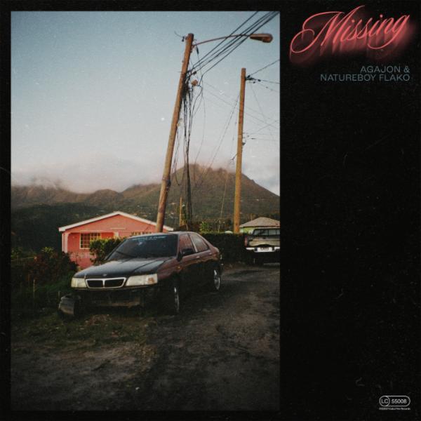 Missing - AgaJon & Natureboy Flako