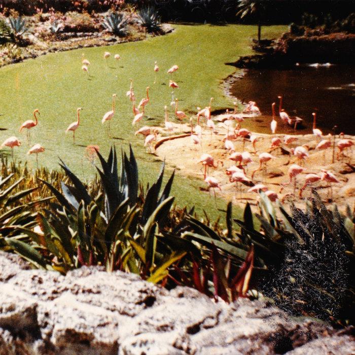 Gold Fiction Loop Garden  - Imaginary Softwoods