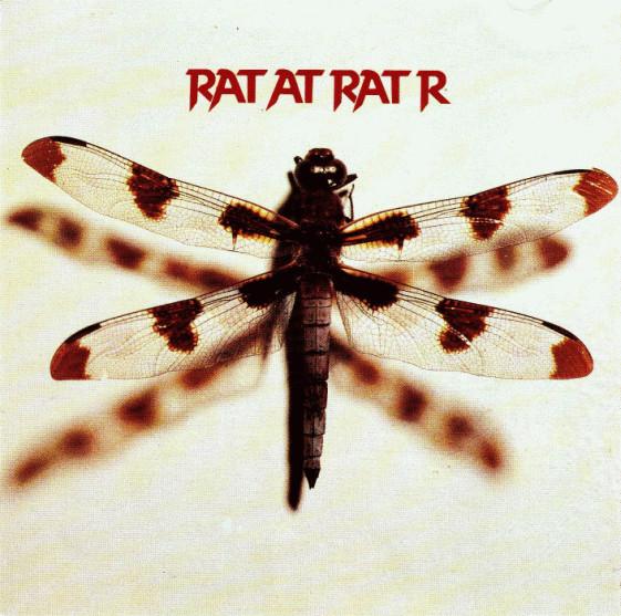 Rat At Rat R - Rat at Rat R