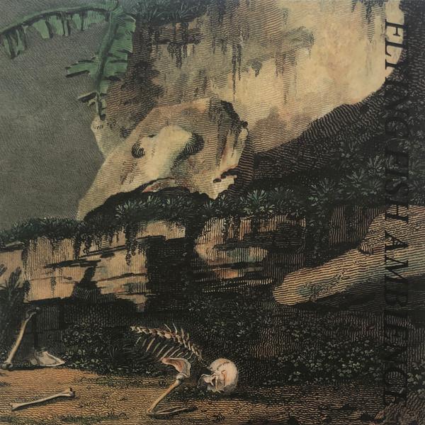 Flying Fish Ambience - Rainforest Spiritual Enslavement