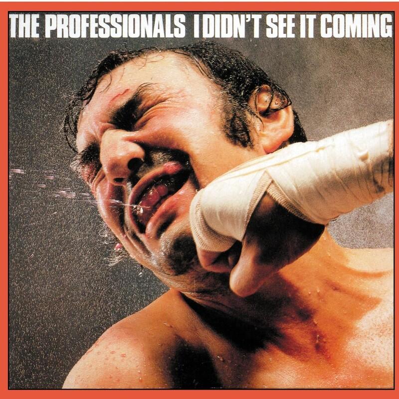 The Magnificent - The Professionals