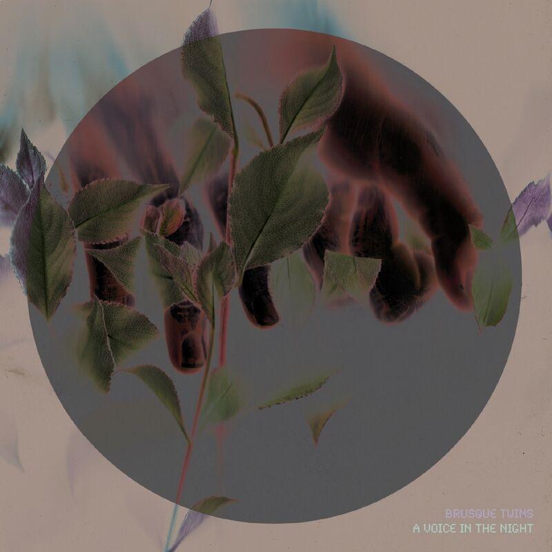 A Voice In The Night - Brusque Twins