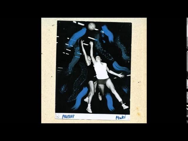 Przelot - Ptaki