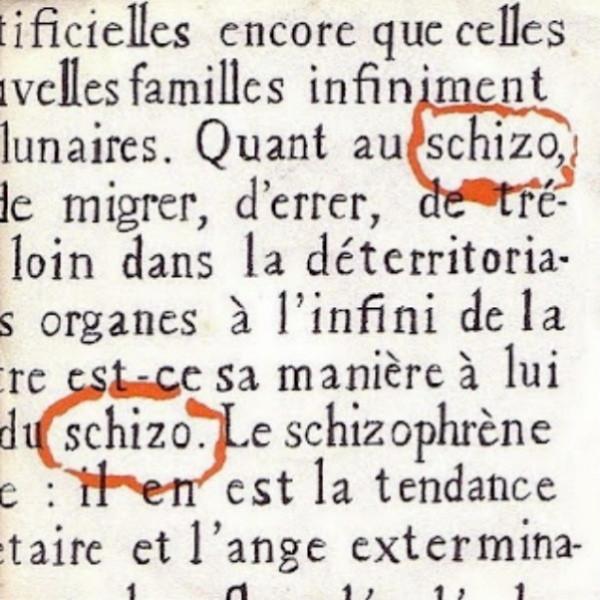 Le Voyageur / Torcol - Schizo