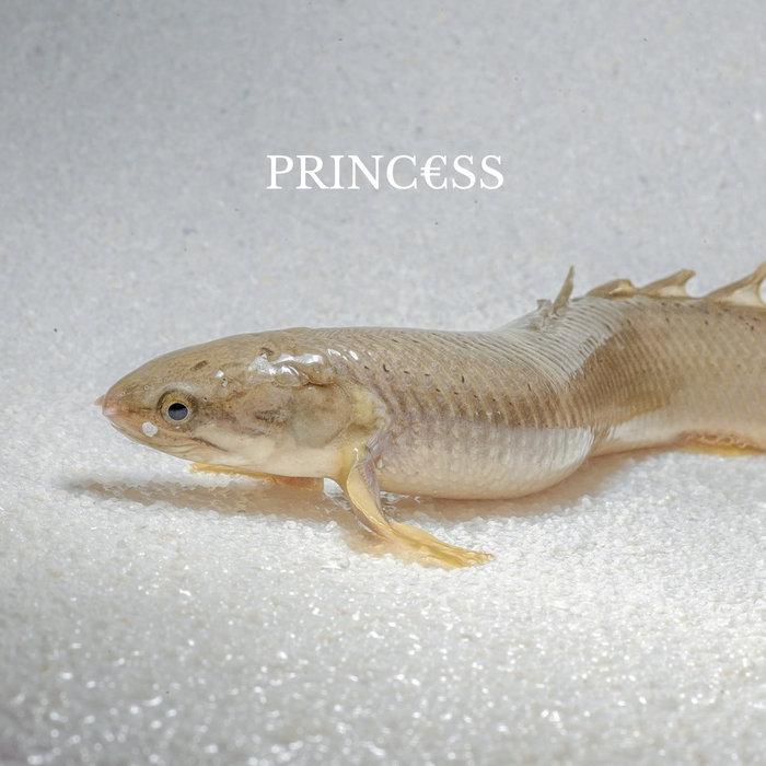 Princ€ss - Princ€ss