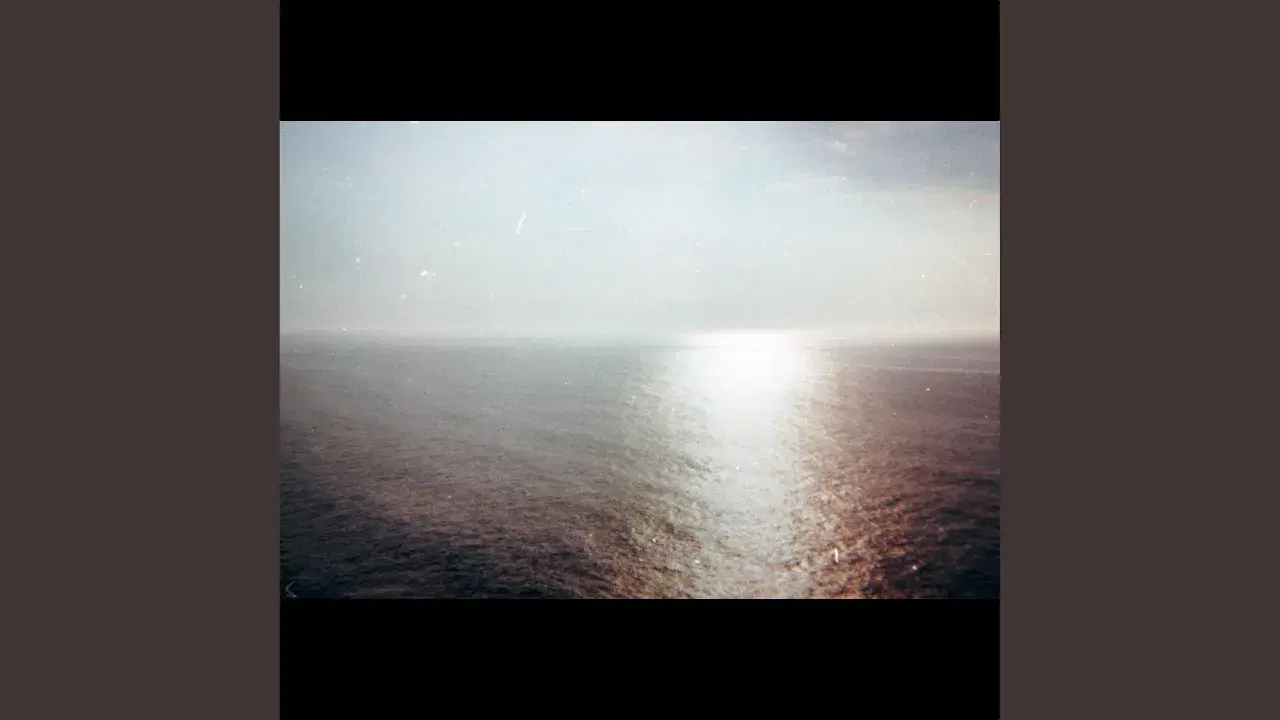 ...On Sea-Faring Isloation - Dolphins Into The Future
