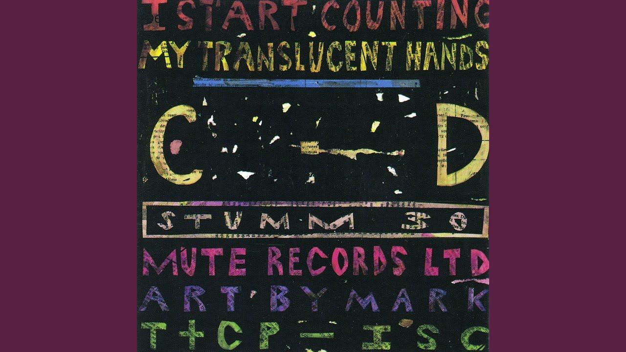 My Translucent Hands No III - I Start Counting