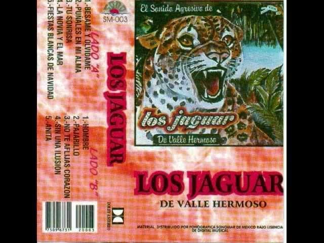 Sin Una Ilusion - Grupo Jaguar