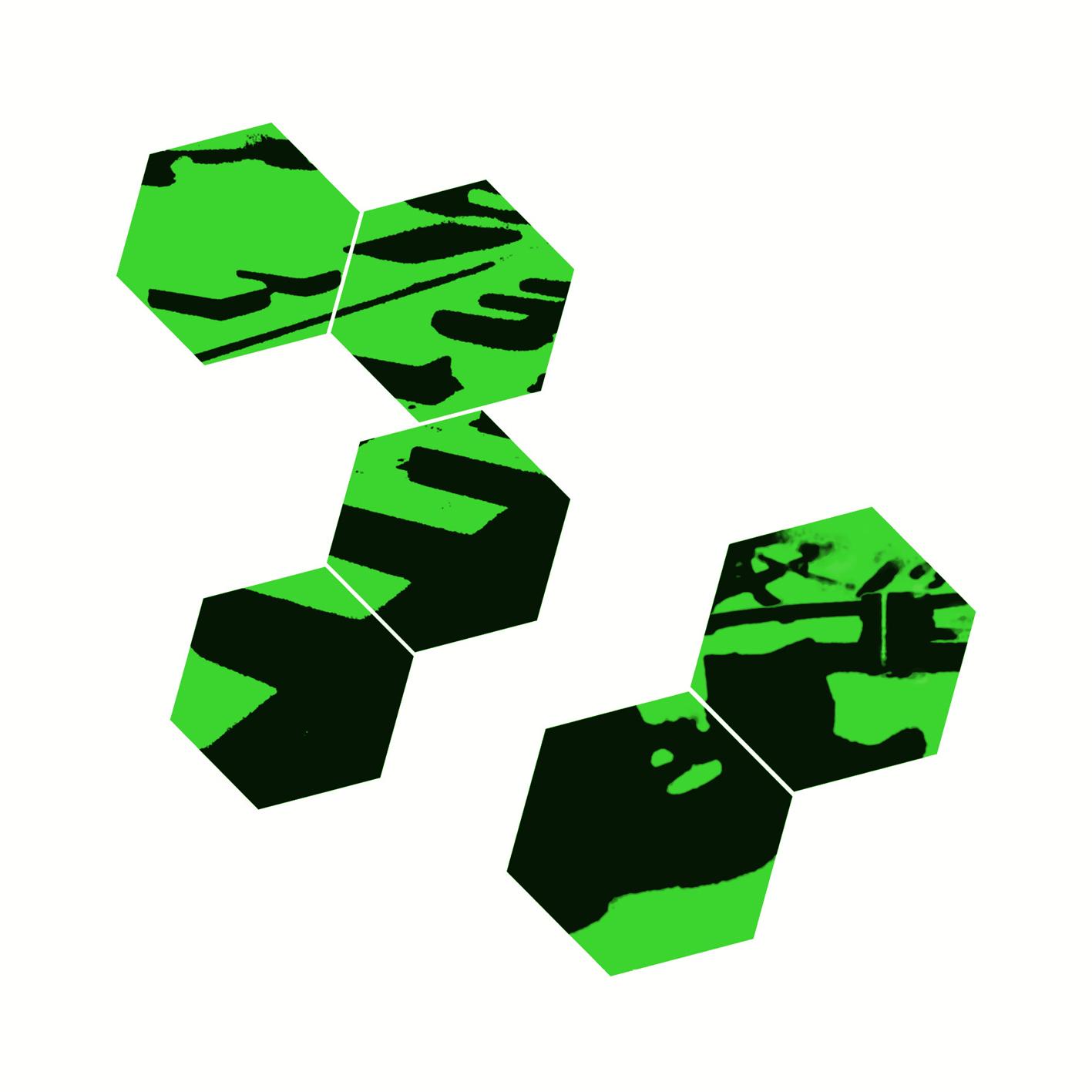 Zones - Head Technician