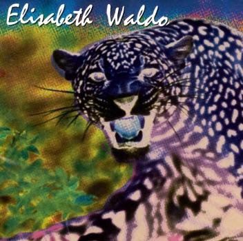 Sacred Rites - Elisabeth Waldo