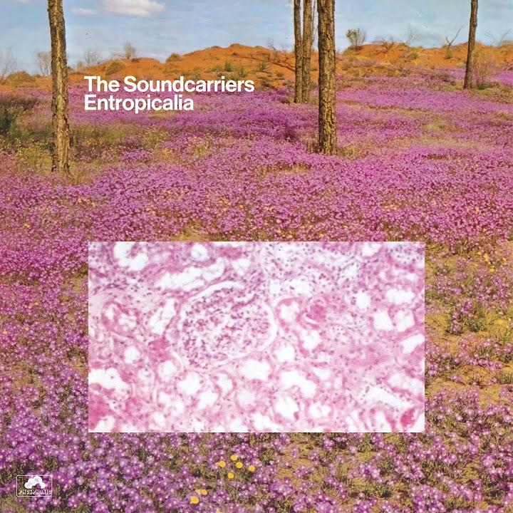 Entropicalia - The Soundcarriers