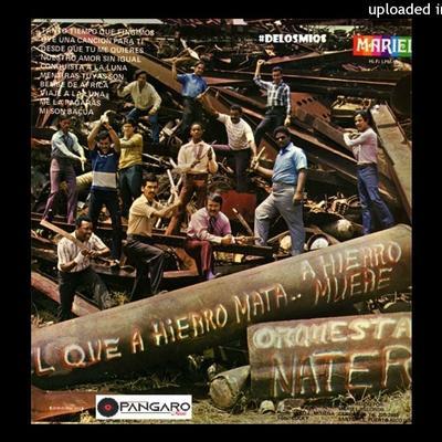  - Orquesta Nater 