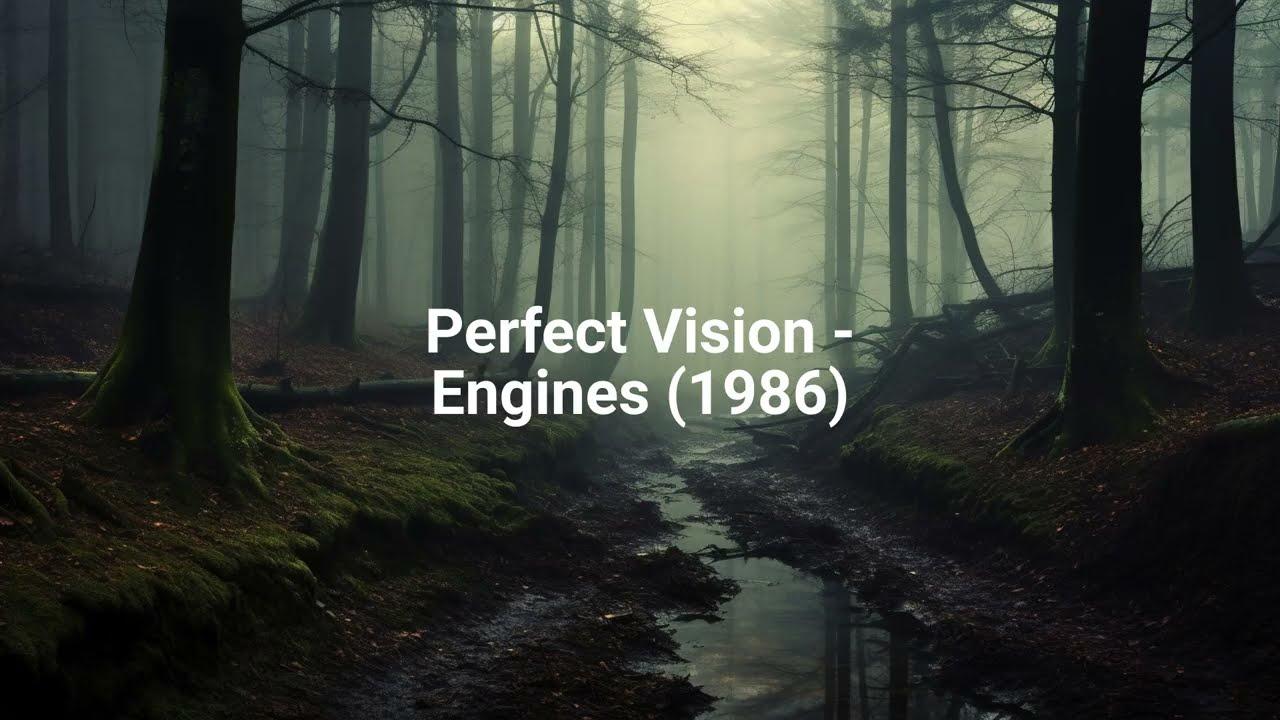  - Perfect Vision