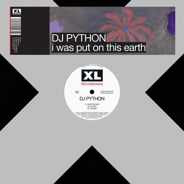 i was put on this earth - DJ Python & Jawnino