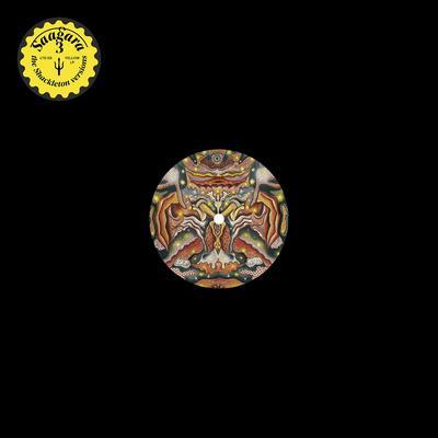 3 The Shackleton Versions - Saagara