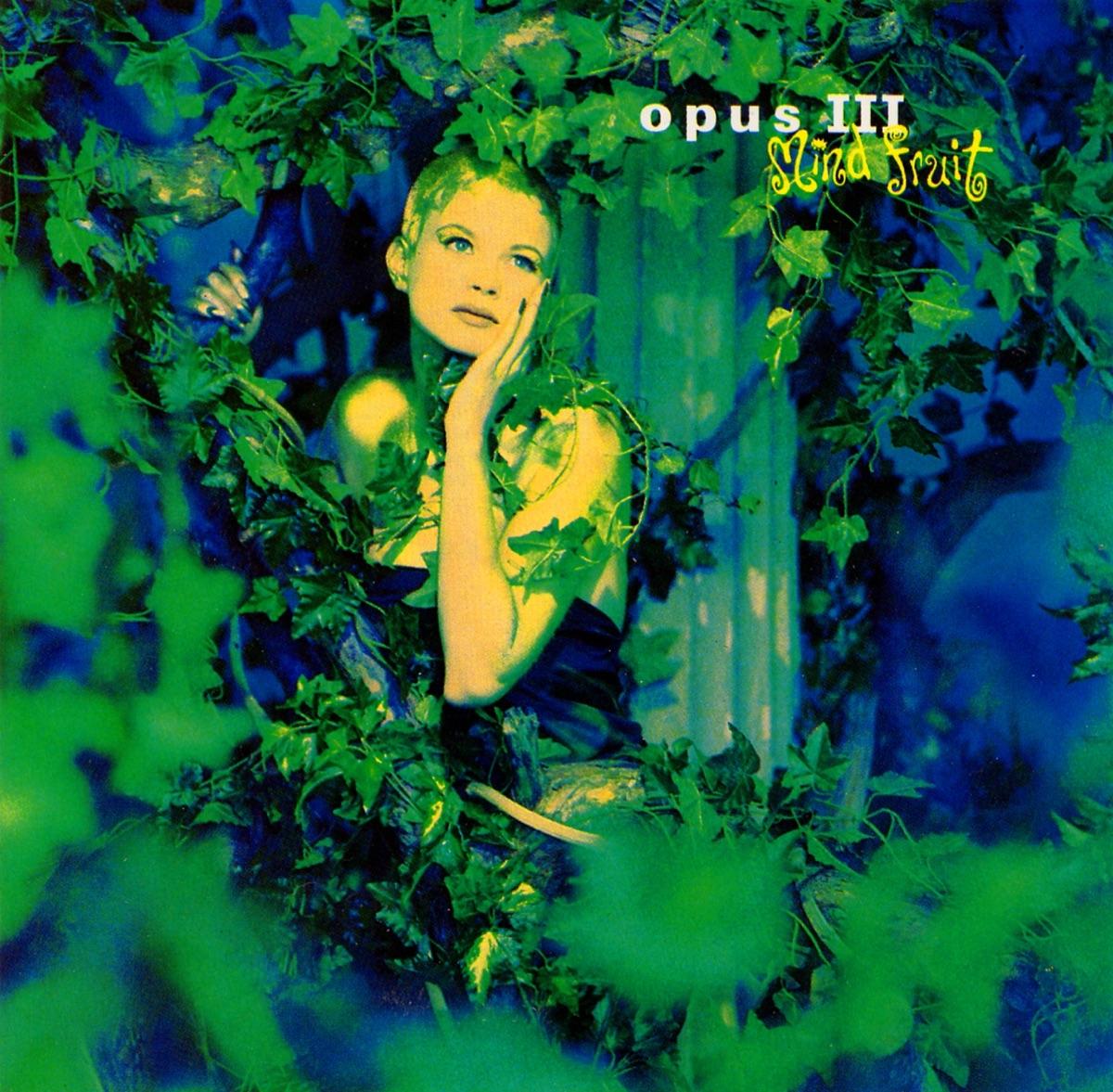 Mind Fruit - Opus III