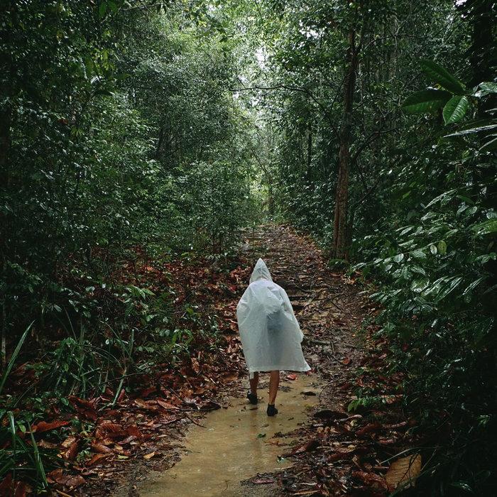 Bung Jagoi - In The Forest - Bung Jagoi