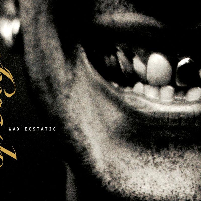 Wax Ecstatic - Sponge