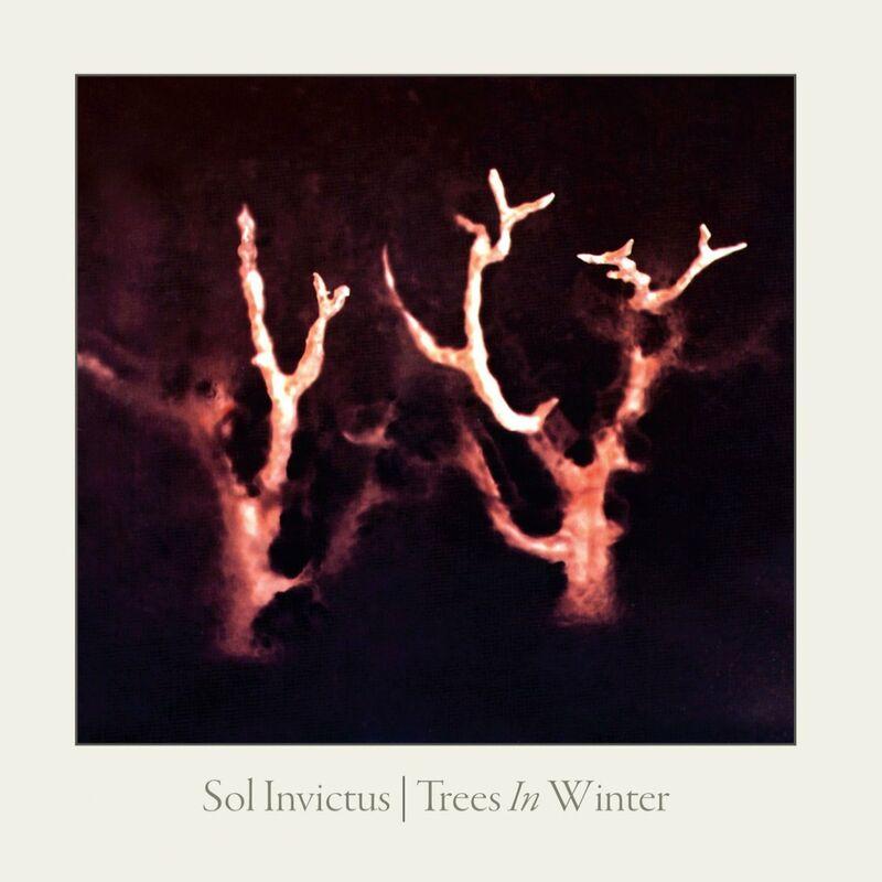 Trees In Winter - Sol Invictus