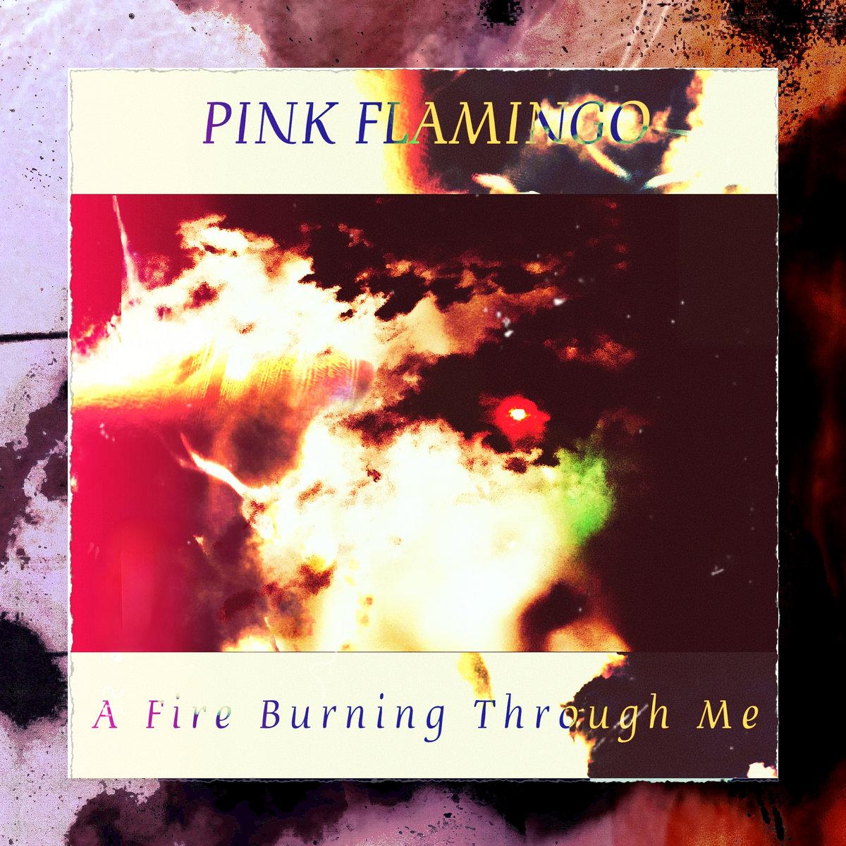 A Fire Burning Through Me - Pink Flamingo